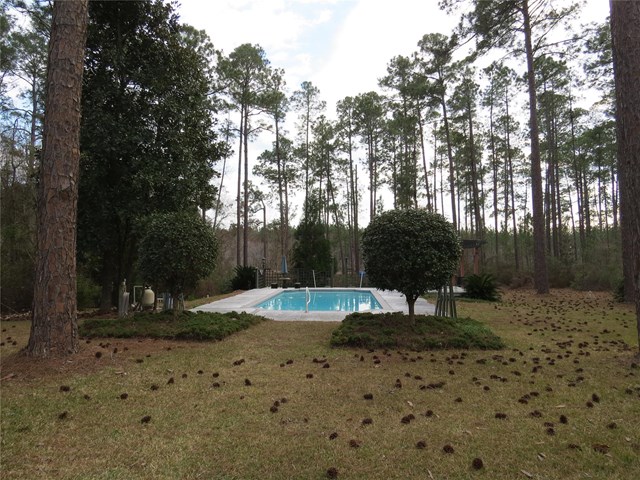 17 Temperance Rd, Mc Rae, GA 31055 photo 8