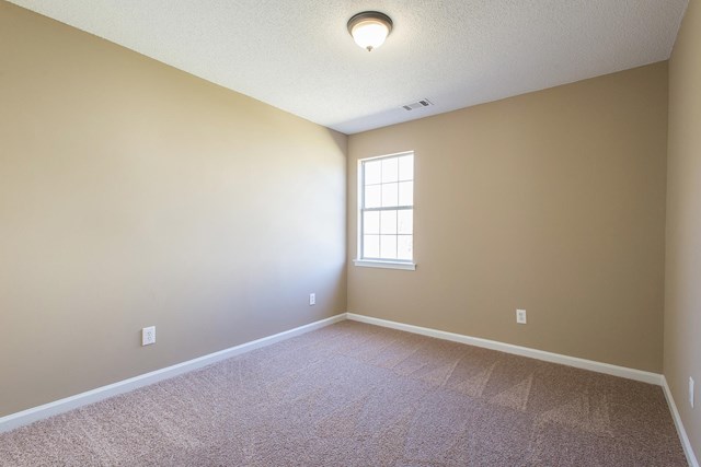 128 Dogwood Rdg, Hampton, GA 30228 photo 17