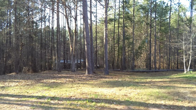 258 Doc Perry Rd, Newnan, GA 30263 photo 22