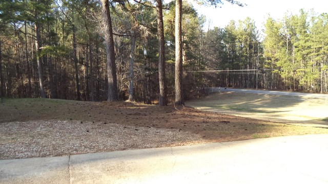 258 Doc Perry Rd, Newnan, GA 30263 photo 21