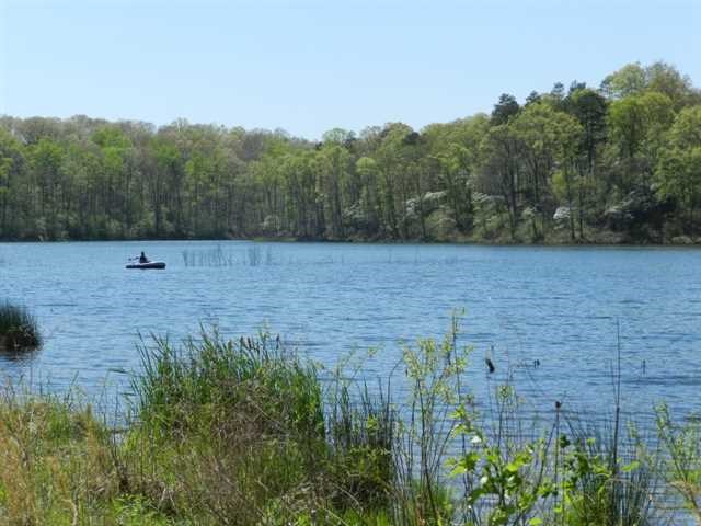 620 Ocean Ave, Canton, GA 30114 photo 18