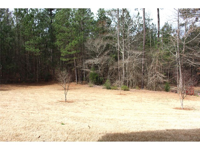 171 John Lovelace Rd, Lagrange, GA 30241 photo 24