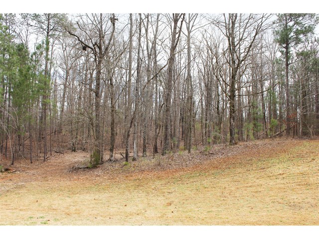 171 John Lovelace Rd, Lagrange, GA 30241 photo 25