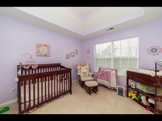 13150 Cooper Ct, Hampton, GA 30228 photo 14