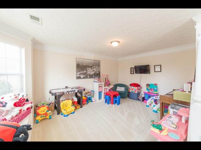 13150 Cooper Ct, Hampton, GA 30228 photo 3