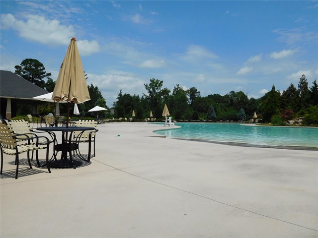 2552 Lake Erma Ln, Hampton, GA 30228 photo 17