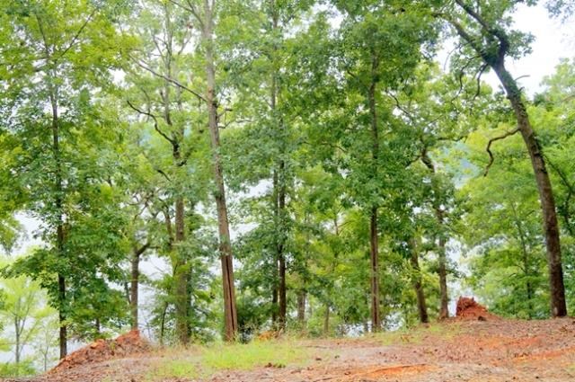 523 Sinclair Blf, Sparta, GA 31087 photo 5