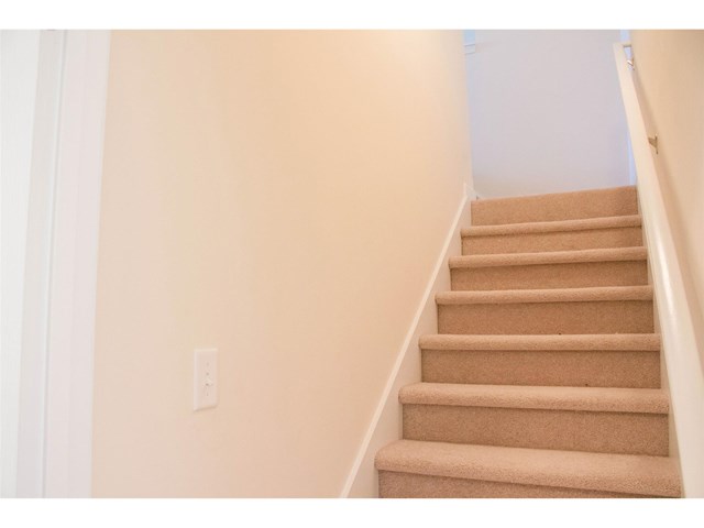 213 Sandstone Dr, Hampton, GA 30228 photo 16