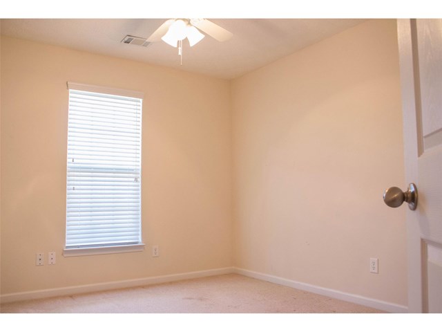 213 Sandstone Dr, Hampton, GA 30228 photo 11