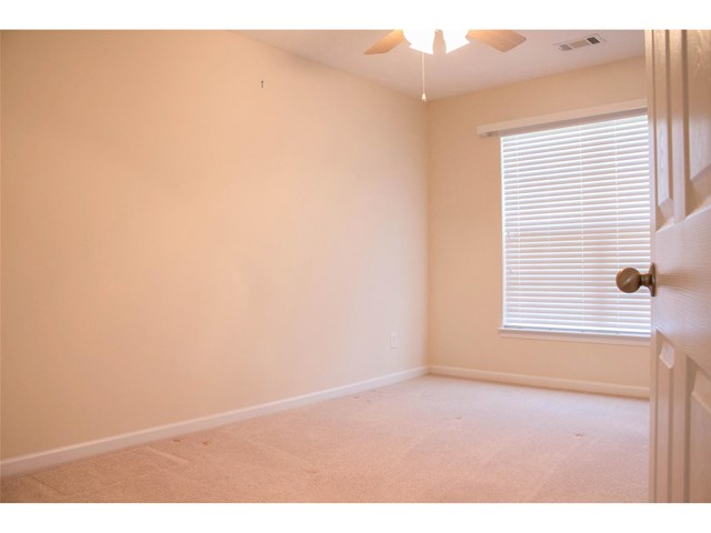 213 Sandstone Dr, Hampton, GA 30228 photo 9