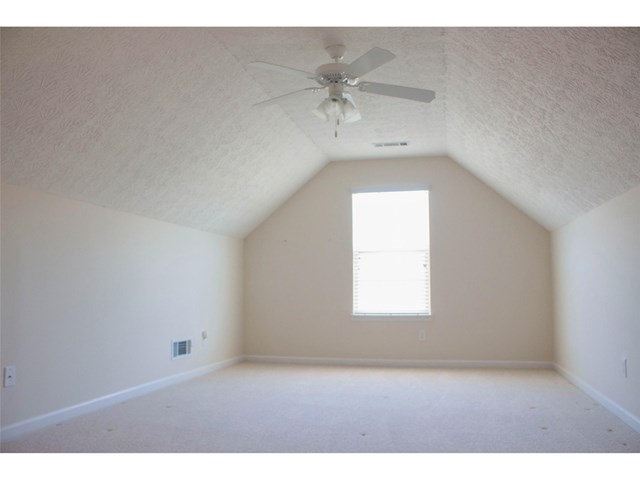 213 Sandstone Dr, Hampton, GA 30228 photo 17