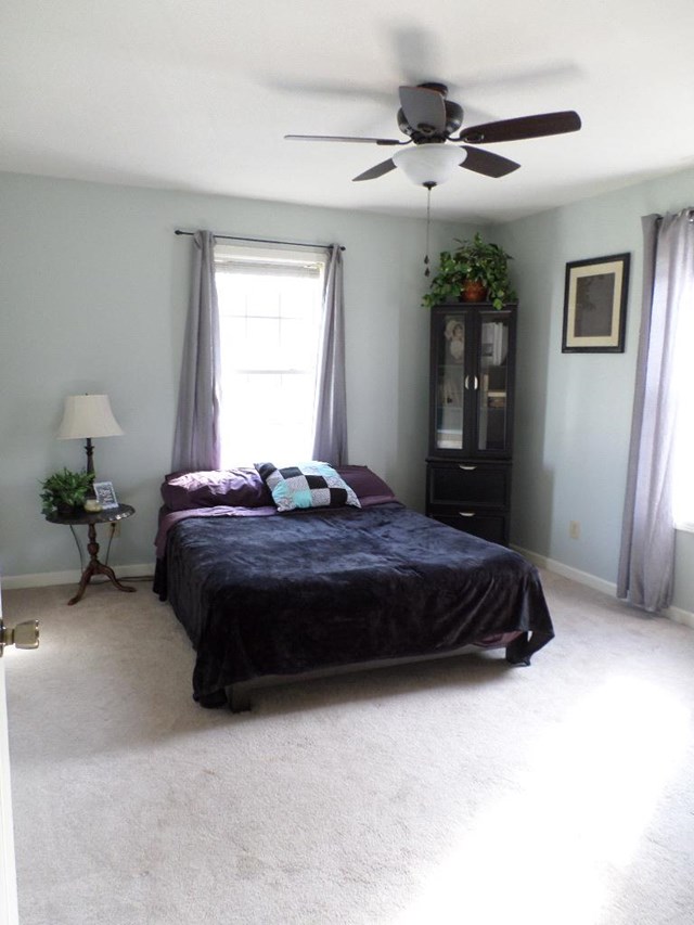 265 Yates St, Cornelia, GA 30531 photo 4
