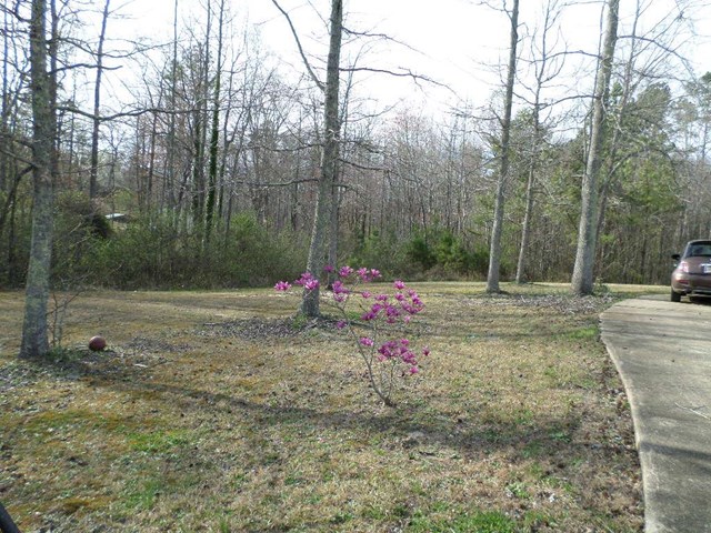 265 Yates St, Cornelia, GA 30531 photo 11