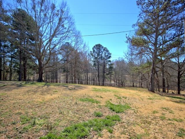 401 Mcdonough Rd, Hampton, GA 30228 photo 15