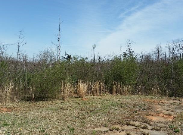 425 Grove St, Barnesville, GA 30204 photo 10