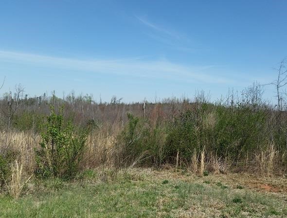 425 Grove St, Barnesville, GA 30204 photo 11