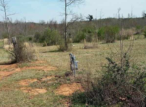 425 Grove St, Barnesville, GA 30204 photo 4
