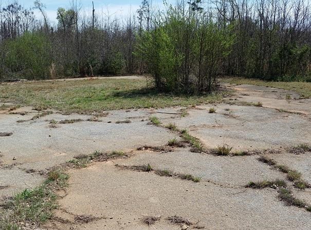 425 Grove St, Barnesville, GA 30204 photo 9