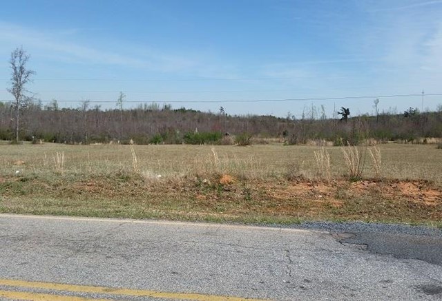 425 Grove St, Barnesville, GA 30204 photo 3