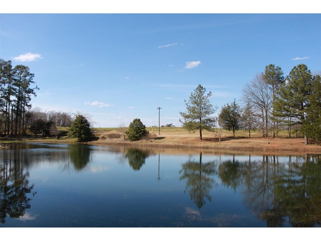 17579 Highway 59, Carnesville, GA 30521 photo 3
