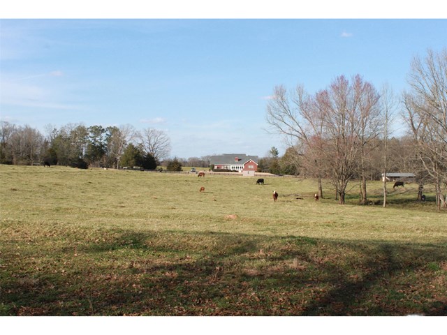 17579 Highway 59, Carnesville, GA 30521 photo 4