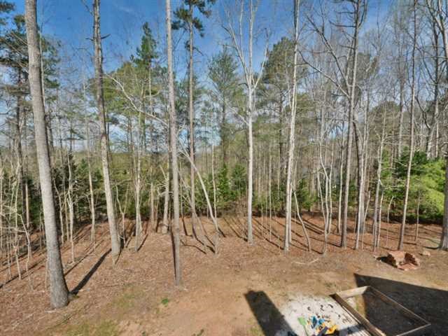 330 William Falls Dr, Canton, GA 30114 photo 25