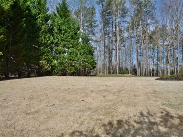 330 William Falls Dr, Canton, GA 30114 photo 24