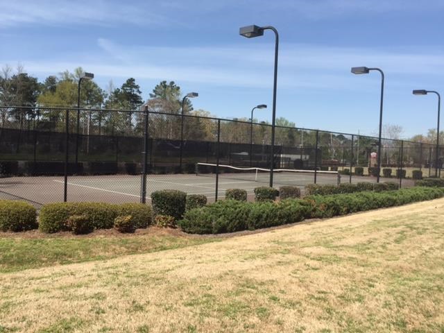 625 Penstock Path, Hampton, GA 30228 photo 20