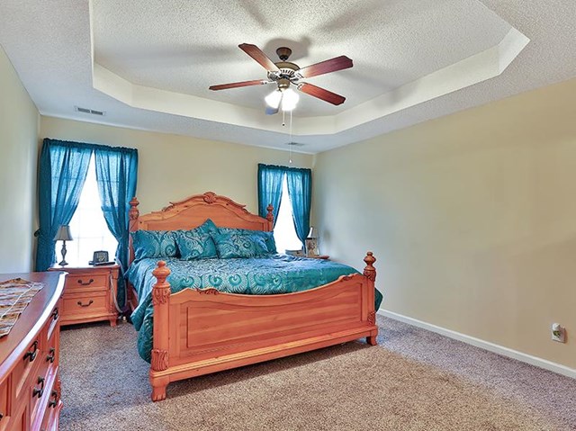 625 Penstock Path, Hampton, GA 30228 photo 9