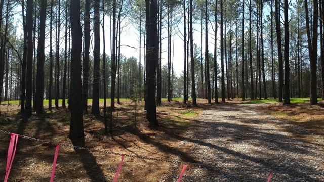 4495 Locklin Rd, Monroe, GA 30656 photo 1