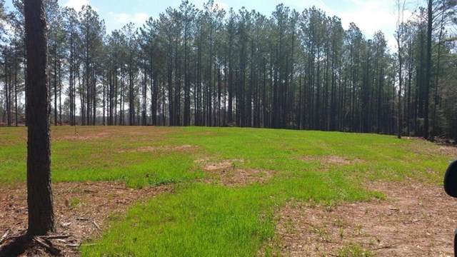 4495 Locklin Rd, Monroe, GA 30656 photo 2