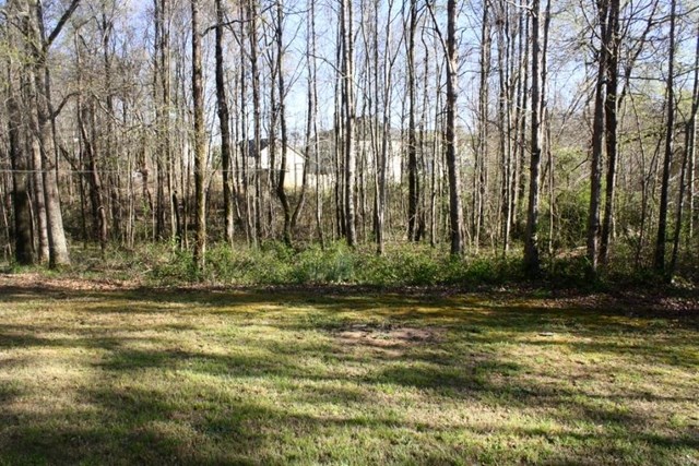 604 Lynchburg St, Hampton, GA 30228 photo 23