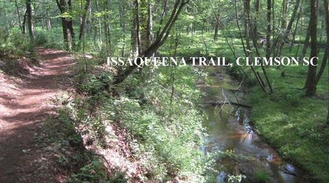 846 Camp Mikell Rd, Toccoa, GA 30577 photo 20