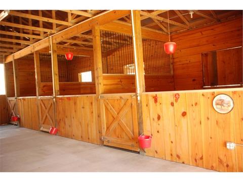 846 Camp Mikell Rd, Toccoa, GA 30577 photo 7