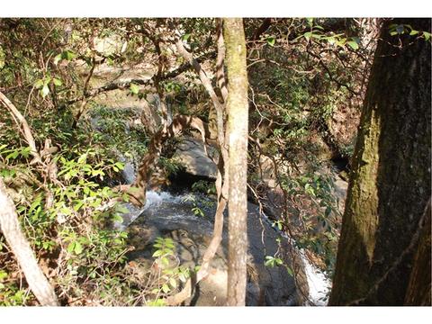 846 Camp Mikell Rd, Toccoa, GA 30577 photo 18