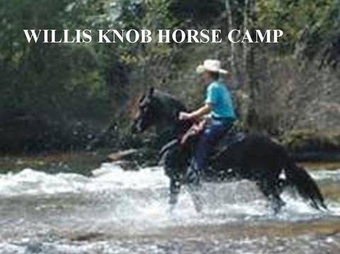 846 Camp Mikell Rd, Toccoa, GA 30577 photo 21