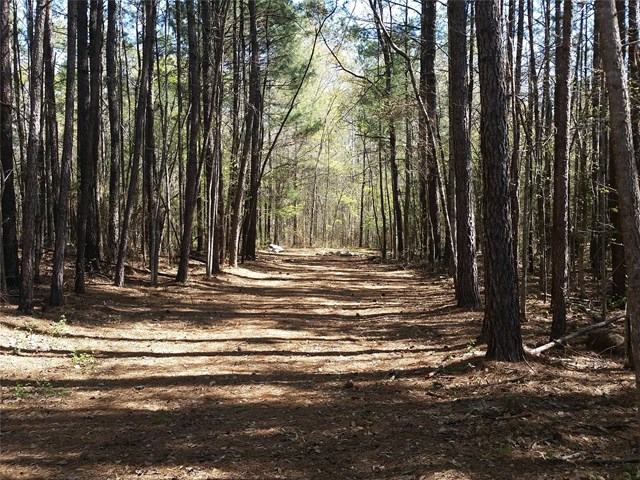 551 Ethridge Mill Rd, Milner, GA 30257 photo 2