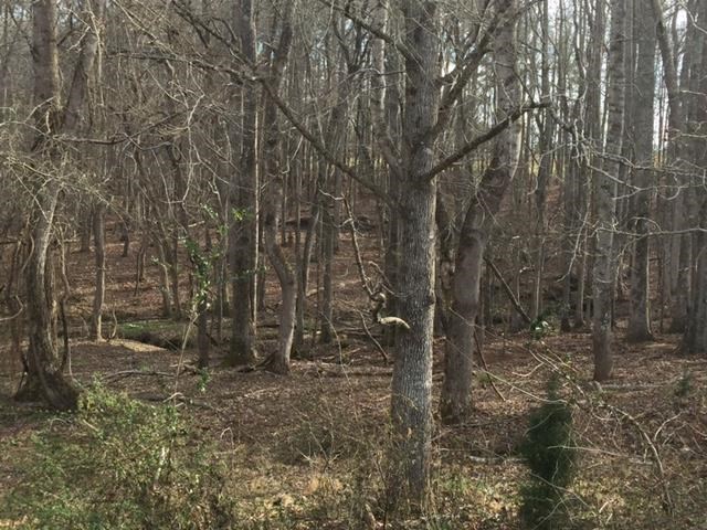 1222 S Thompson Rd, Pine Mountain, GA 31822 photo 5