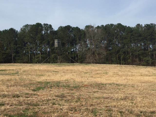1222 S Thompson Rd, Pine Mountain, GA 31822 photo 3