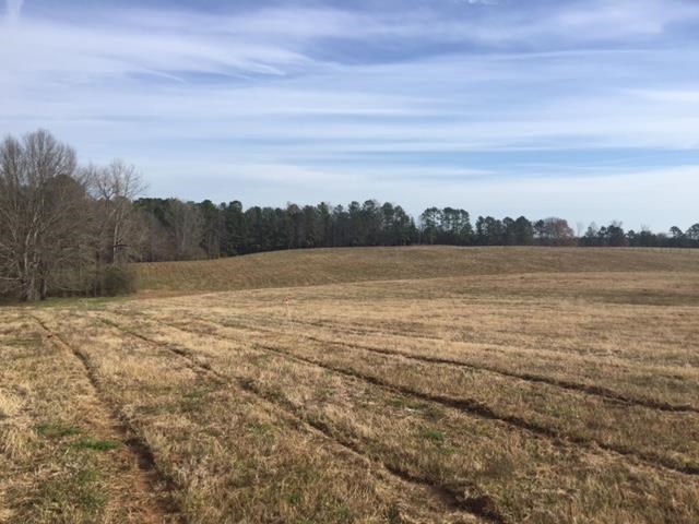 1222 S Thompson Rd, Pine Mountain, GA 31822 photo 6