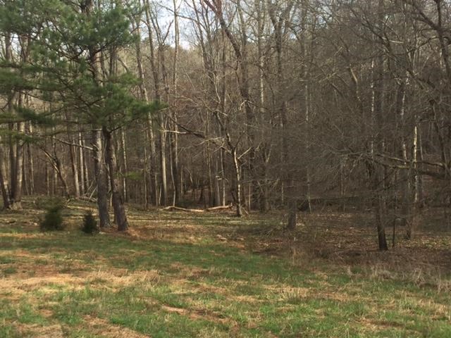 1222 S Thompson Rd, Pine Mountain, GA 31822 photo 4