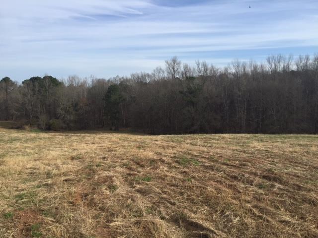 1222 S Thompson Rd, Pine Mountain, GA 31822 photo 2