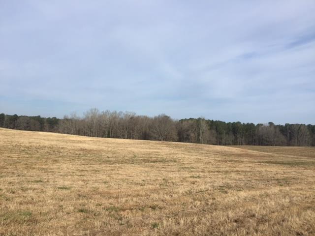 1222 S Thompson Rd, Pine Mountain, GA 31822 photo 1