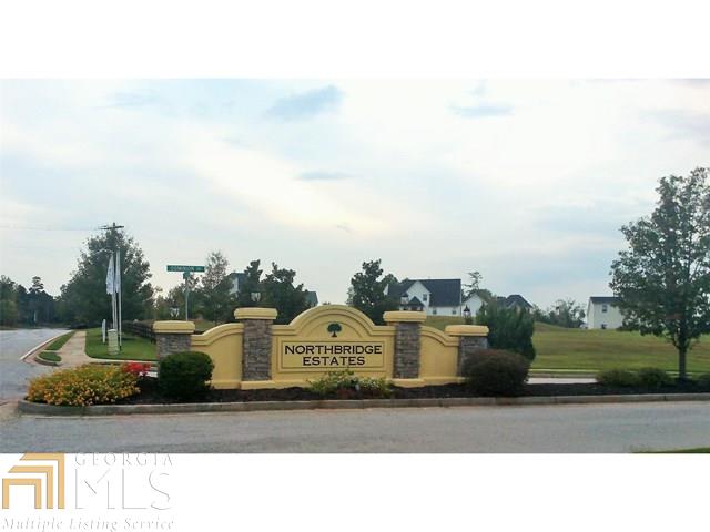 321 Pernell Dr, Hampton, GA 30228 photo 4