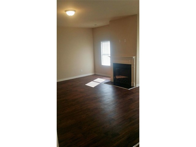 335 Lamont Ln, Hampton, GA 30228 photo 21