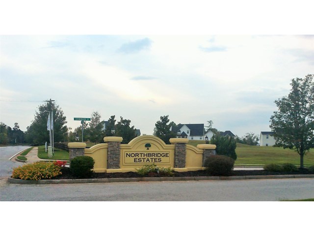 335 Lamont Ln, Hampton, GA 30228 photo 3