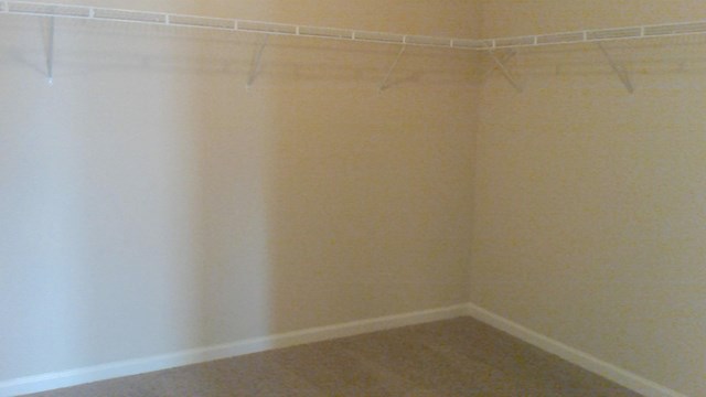 335 Lamont Ln, Hampton, GA 30228 photo 17