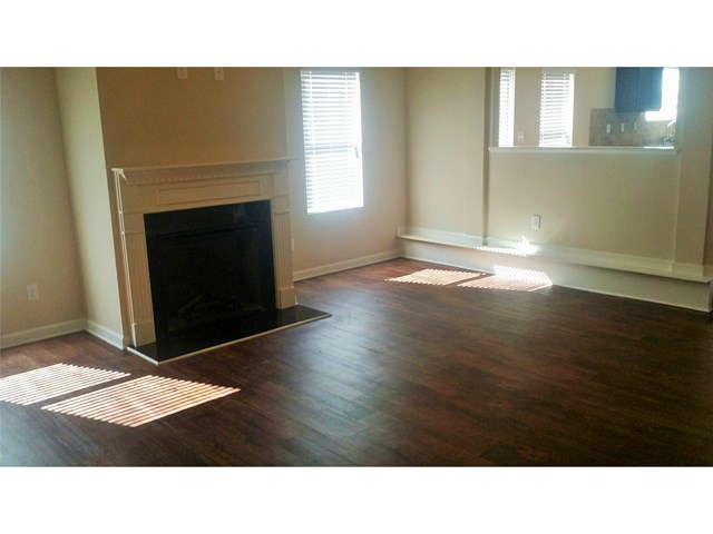 335 Lamont Ln, Hampton, GA 30228 photo 19