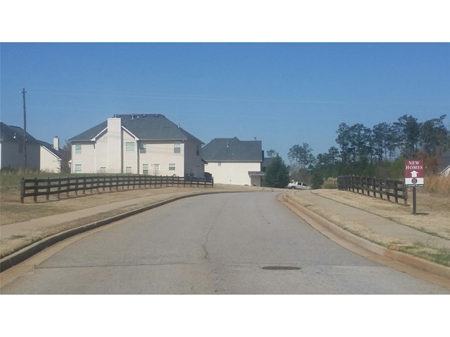 335 Lamont Ln, Hampton, GA 30228 photo 11
