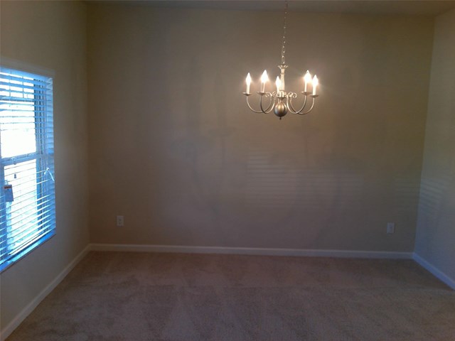 299 Hillcrest Ct, Hampton, GA 30228 photo 5